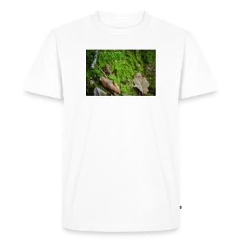 fabiolous world Froschi - Men's Premium Organic T-Shirt - white - Front - Nico (187cm)