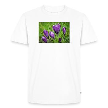 Purple Crocus Cluster in Spring Garden - Men's Premium Organic T-Shirt - white - Front - Nico (187cm)