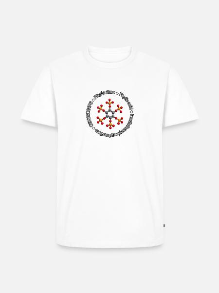 Phytinsäure Molekül - Männer Premium Bio T-Shirt - Weiß