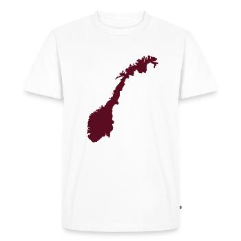 Norvège - T-shirt Premium bio Homme - blanc - Devant - Nico (187cm)