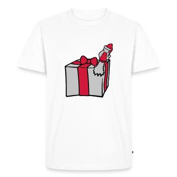 L’oie éclate de cadeau - T-shirt Premium bio Homme - blanc - Devant - Nico (187cm)