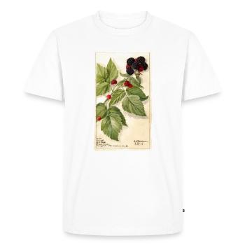 blackberry garden red berries illustration vintage - Men's Premium Organic T-Shirt - white - Front - Nico (187cm)