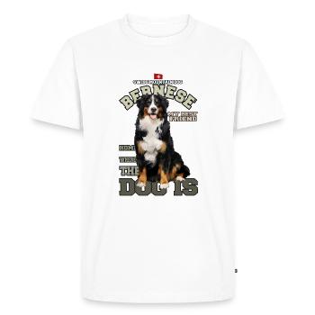 Bernese Mountain Dog - Swiss Mountain Dog - Men's Premium Organic T-Shirt - white - Front - Nico (187cm)
