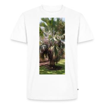Beau palmier canarien - T-shirt Premium bio Homme - blanc - Devant - Nico (187cm)