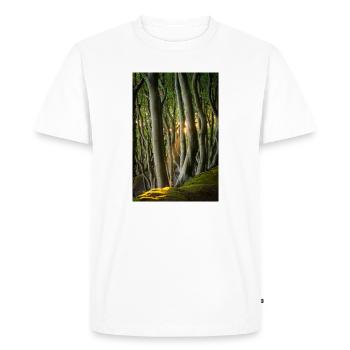Arbres Lumière du Soleil - T-shirt Premium bio Homme - blanc - Devant - Nico (187cm)