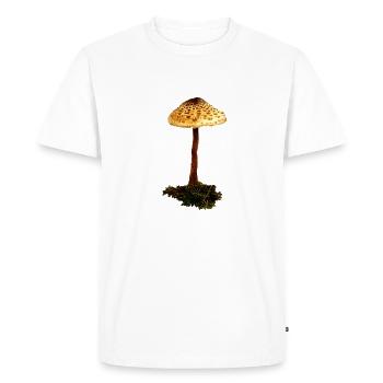 Coulemelle - T-shirt Premium bio Homme - blanc - Devant - Nico (187cm)