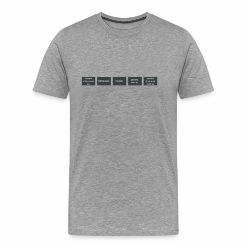 Kategorien Zustimmung Wahl-Kompass - Männer Premium T-Shirt