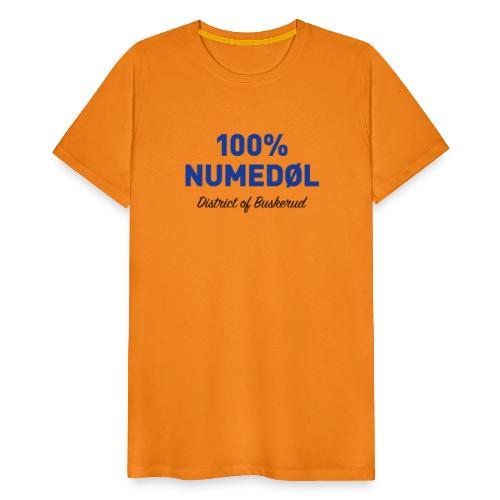 Hundre prosent numedøl - District of Buskerud - Premium T-skjorte for menn
