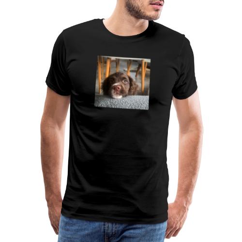 Cockerspanieln Zeasar - Premium-T-shirt herr