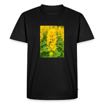 dotted loosestrife also garden loosestrife - Men's Premium Organic T-Shirt - black - Front - Nico (187cm)