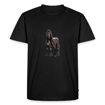 Celtic Spirit - T-shirt Premium bio Homme - noir - Devant - Nico (187cm)