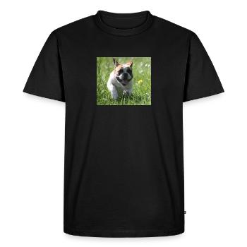 Allez Bully Go Français Bulldog - T-shirt Premium bio Homme - noir - Devant - Nico (187cm)