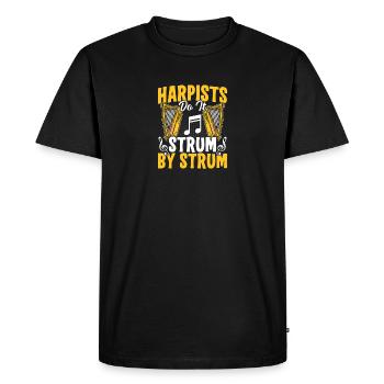 Harpiste Amants de musique Expert en lecteur de musique - T-shirt Premium bio Homme - noir - Devant - Nico (187cm)