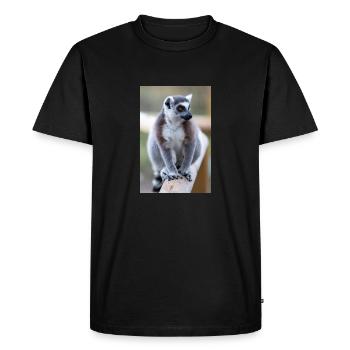 Lémurien à queue annelée (en allemand Katta) Lémurien catta - T-shirt Premium bio Homme - noir - Devant - Nico (187cm)