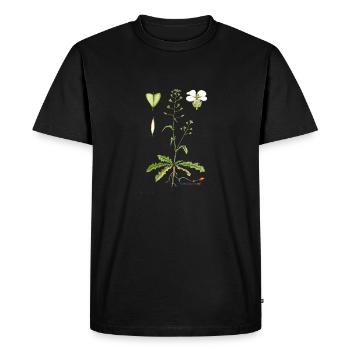 Shepherd's purse (Capsella bursa pastoris) - Men's Premium Organic T-Shirt - black - Front - Nico (187cm)
