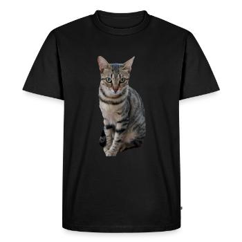 Chat chat chaton doux - T-shirt Premium bio Homme - noir - Devant - Nico (187cm)