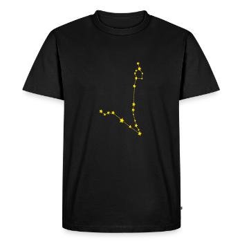 Signes du zodiaque poisson - T-shirt Premium bio Homme - noir - Devant - Nico (187cm)