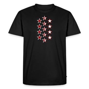 Drapeau du Valais - T-shirt Premium bio Homme - noir - Devant - Nico (187cm)