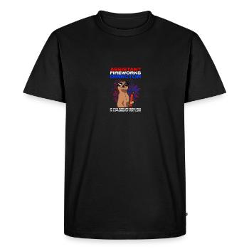 Pyrotechnician Assistant fireworks director - Men's Premium Organic T-Shirt - black - Front - Nico (187cm)