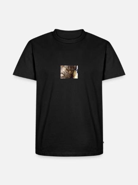 cat, kitten, kitty - Men's Premium Organic T-Shirt - black