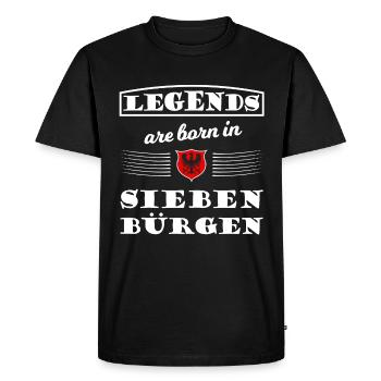 Légendes de Transylvanie - T-shirt Premium bio Homme - noir - Devant - Nico (187cm)