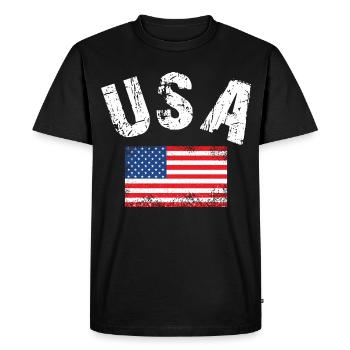 Drapeau des États-Unis - T-shirt Premium bio Homme - noir - Devant - Nico (187cm)