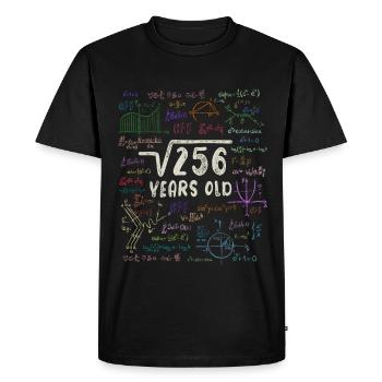 Root of 256 = 16th Birthday - Gift - Men's Premium Organic T-Shirt - black - Front - Nico (187cm)