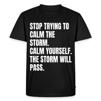 stop trying to calm the storm calm yourself the - Men's Premium Organic T-Shirt - black - Front - Nico (187cm)