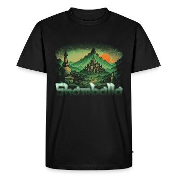 Shamballa Sunset - Men's Premium Organic T-Shirt - black - Front - Nico (187cm)