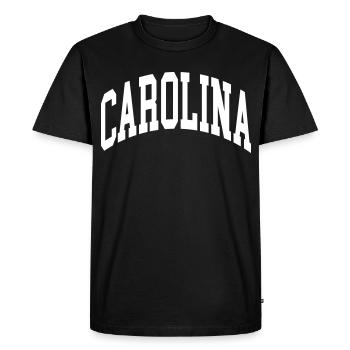 Carolina - Men's Premium Organic T-Shirt - black - Front - Nico (187cm)