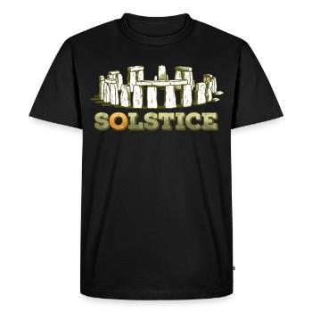 Litha Pagan Solstice d’été Midsommar - T-shirt Premium bio Homme - noir - Devant - Nico (187cm)
