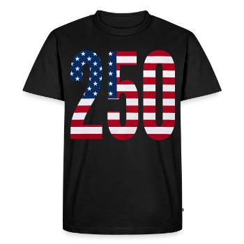 250 American Flag 4th Of July Happy Birthday - Men's Premium Organic T-Shirt - black - Front - Nico (187cm)
