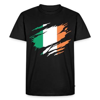 Irlande Drapeau Irlandais Irlandaise - T-shirt Premium bio Homme - noir - Devant - Nico (187cm)