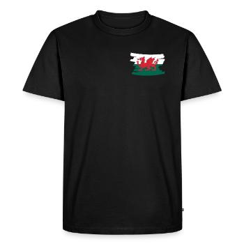Drapeau national du Pays de Galles - brosse horizontale - T-shirt Premium bio Homme - noir - Devant - Nico (187cm)