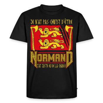 Normand Humour Normandie - T-shirt Premium bio Homme - noir - Devant - Nico (187cm)
