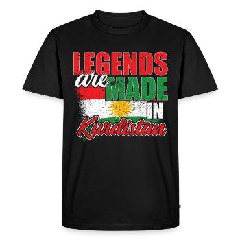 Kurdistan - T-shirt Premium bio Homme - noir - Devant - Nico (187cm)