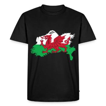 Cadeau de voyage pays Pays de Galles - T-shirt Premium bio Homme - noir - Devant - Nico (187cm)