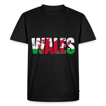 Cadeau de voyage pays Pays de Galles - T-shirt Premium bio Homme - noir - Devant - Nico (187cm)