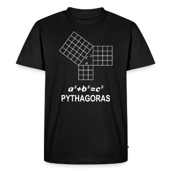 Jeu de Pythagore cadeau pour les profs de maths geek - T-shirt Premium bio Homme - noir - Devant - Nico (187cm)
