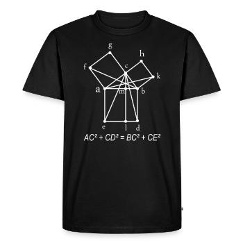 Ensemble d'idées cadeau de professeur de mathématiques pythagoriciennes - T-shirt Premium bio Homme - noir - Devant - Nico (187cm)
