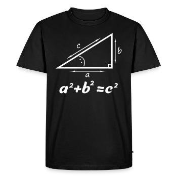Pythagorean theorem gift for math teacher nerd - Men's Premium Organic T-Shirt - black - Front - Nico (187cm)