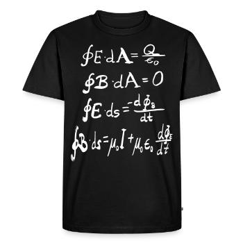 Elektromagnetismus Maxwell Gleichungen - Männer Premium Bio T-Shirt - Schwarz - Vorne - Nico (187cm)