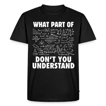 Equations mathématiques dont vous pouvez obtenir les formes - T-shirt Premium bio Homme - noir - Devant - Nico (187cm)