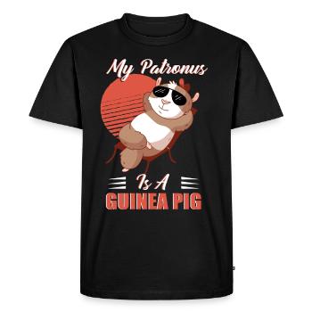 Cochons d'Inde, sorts, sorciers, magie - T-shirt Premium bio Homme - noir - Devant - Nico (187cm)