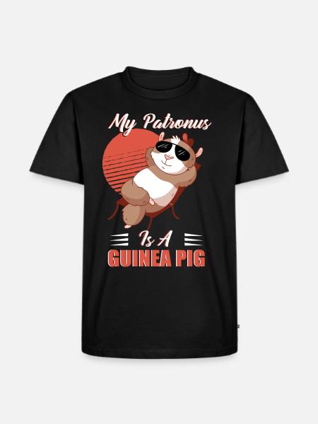 Guinea pigs, spells, wizards, magic - Men's Premium Organic T-Shirt - black