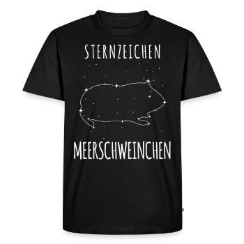 Cobayes et étoiles - T-shirt Premium bio Homme - noir - Devant - Nico (187cm)
