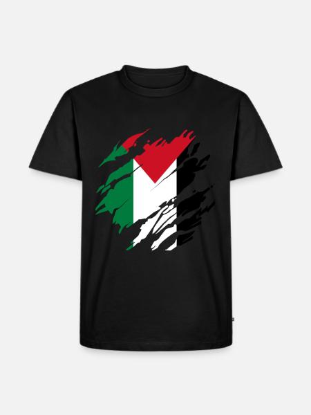 Gaza Strip Palestine Palestinian Flag - Men's Premium Organic T-Shirt - black
