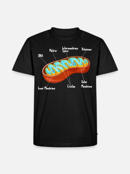 Mitochondria Cell Biology Biologist Science - Men's Premium Organic T-Shirt - black