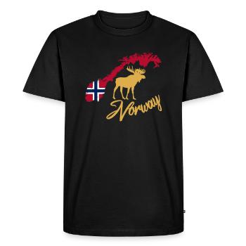 Norvège Norwegen - T-shirt Premium bio Homme - noir - Devant - Nico (187cm)