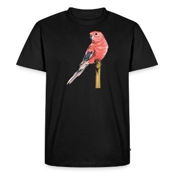 Bourke Perruche I Perruche à ventre rose Motif pour oiseau - T-shirt Premium bio Homme - noir - Devant - Nico (187cm)